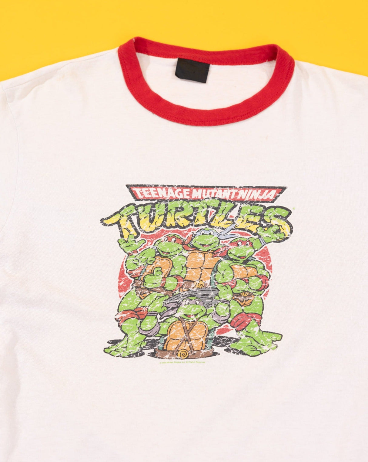 Vintage 2003 Teenage Mutant Ninja Turtles Ringer T-shirt