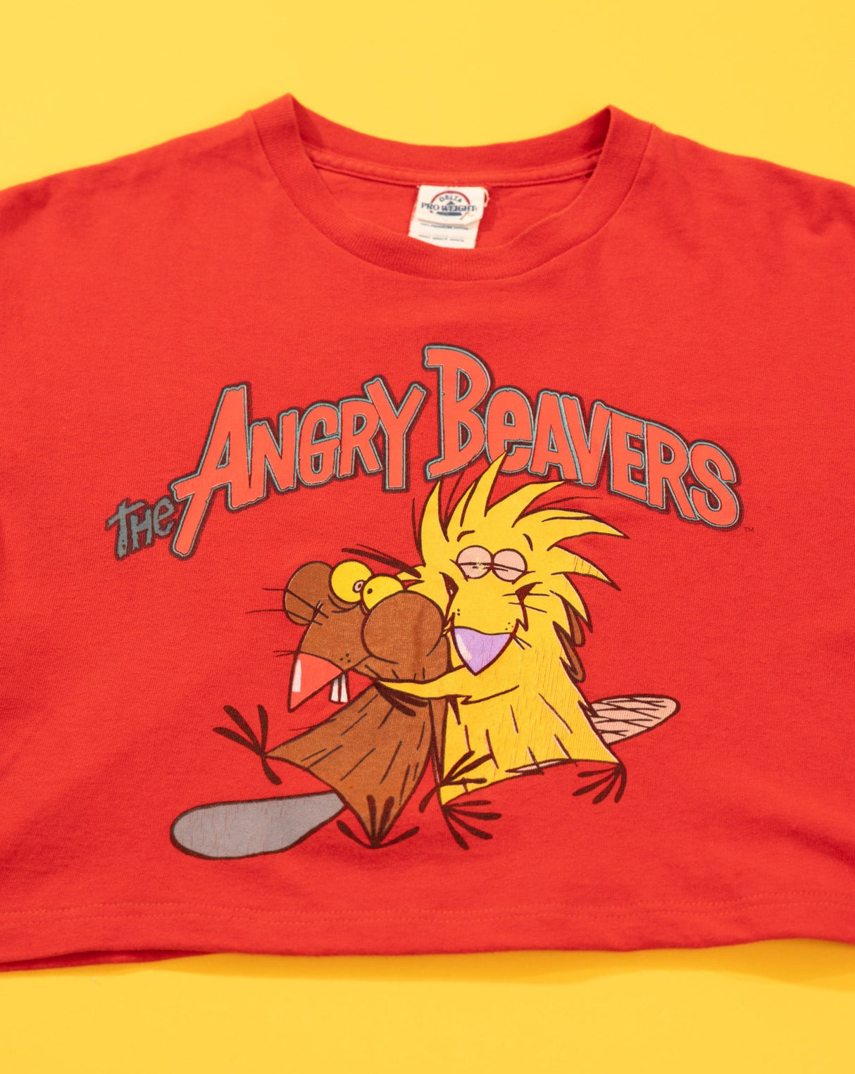 Vintage 90s Upcycled The Angry Beavers Crop Top