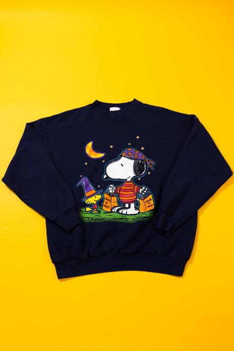 Vintage 90s Snoopy and Woodstock Halloween Crewneck Sweater