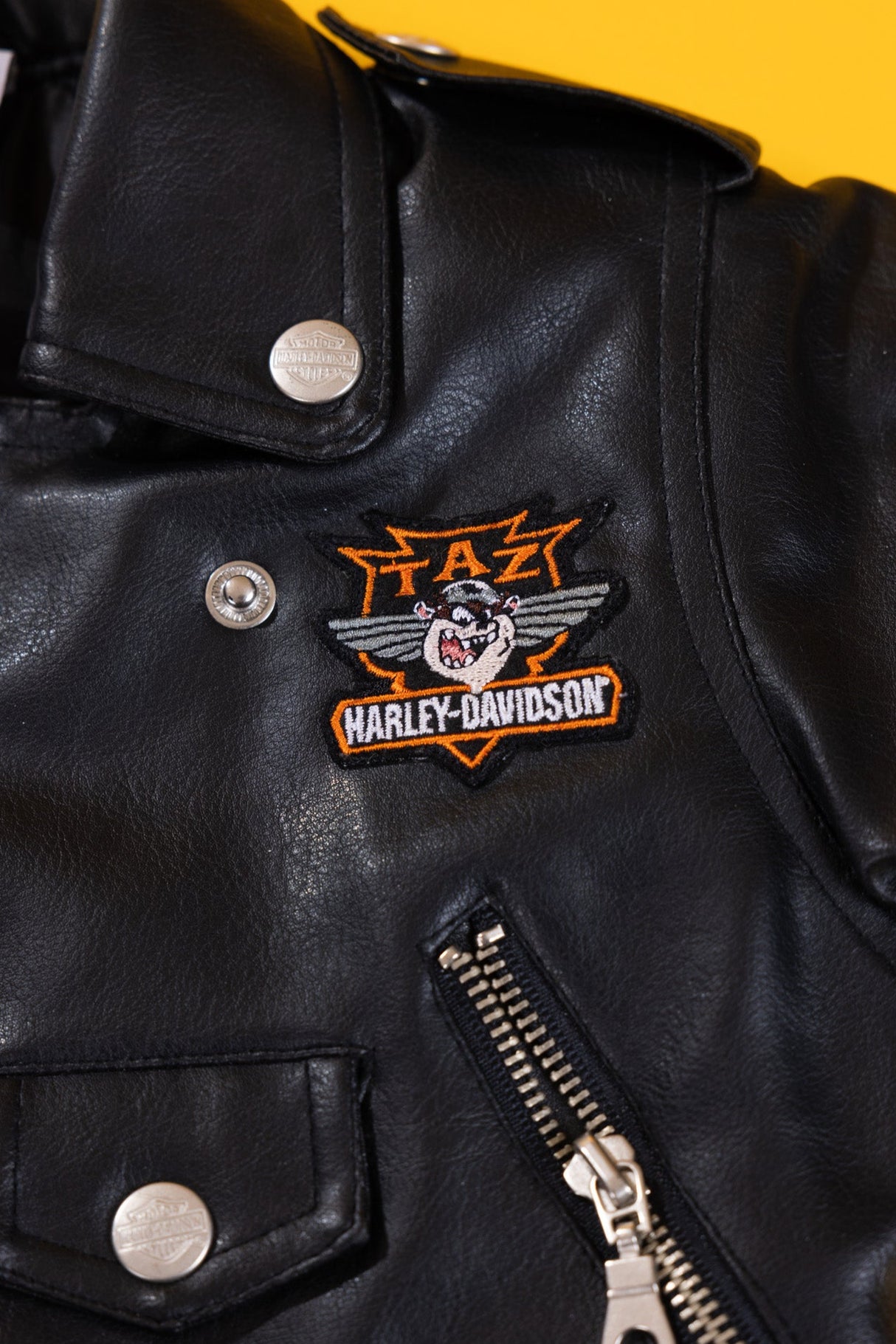 Vintage 2000 Harley Davidson Taz Leather Biker Jacket (Kids - 12M)