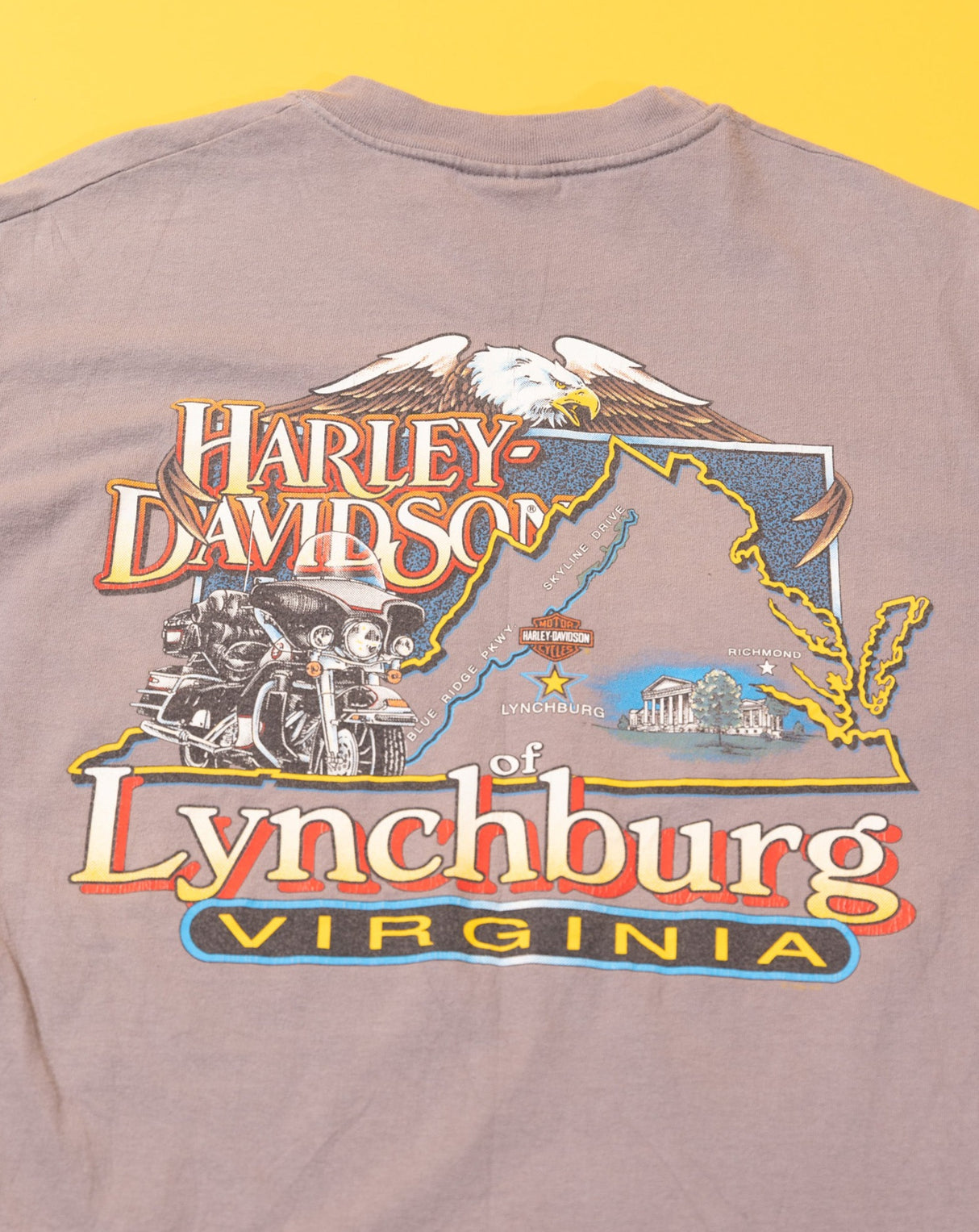 Vintage Y2K 2000 Harley Davidson Street Tough Lynchburg VA T-shirt